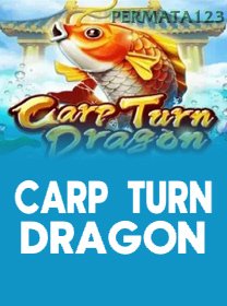 Carp Turn Dragon